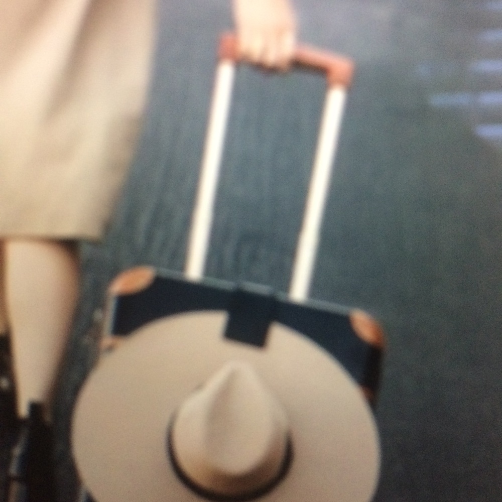TopTote Hat Holder/Luggage Tag